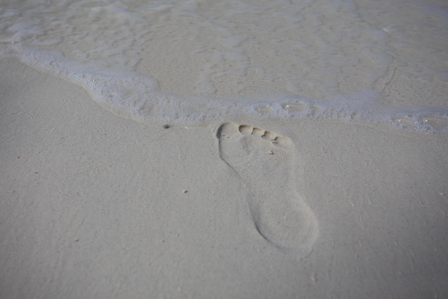 enkele voetafdruk op zandstrand foto