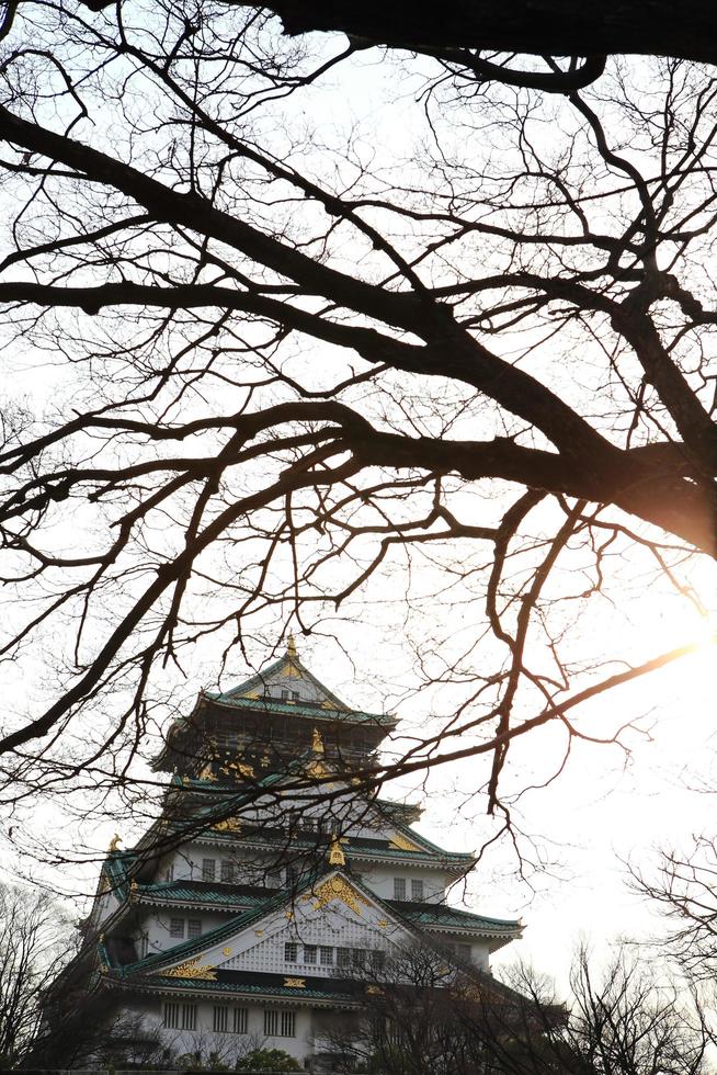 osaka kasteel in osaka, japan foto