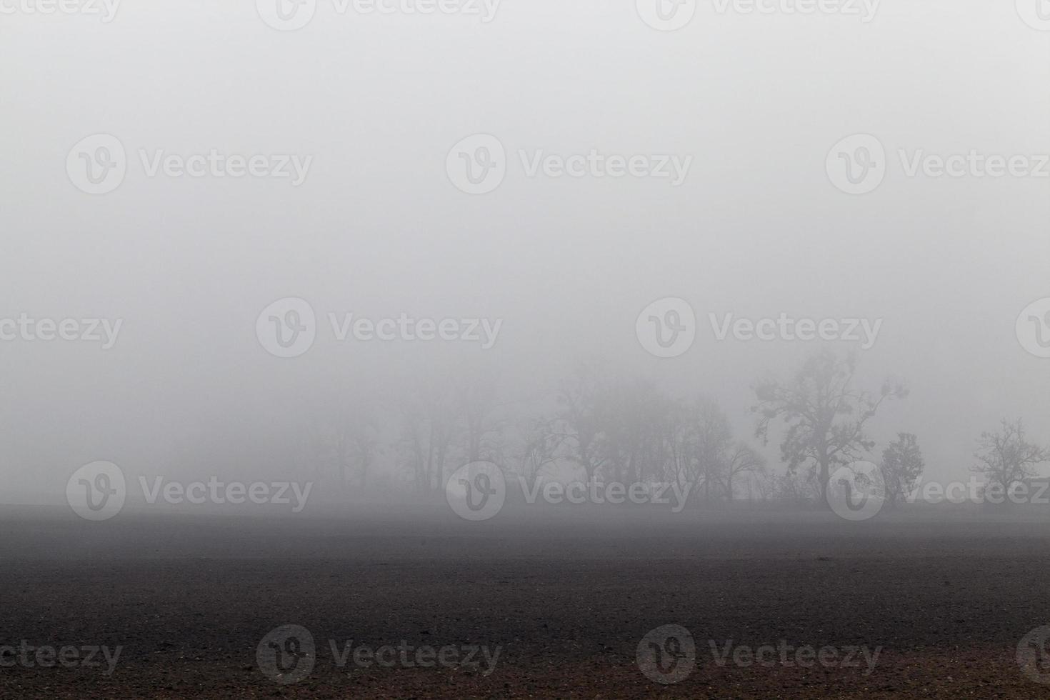 herfst ochtend, veld foto