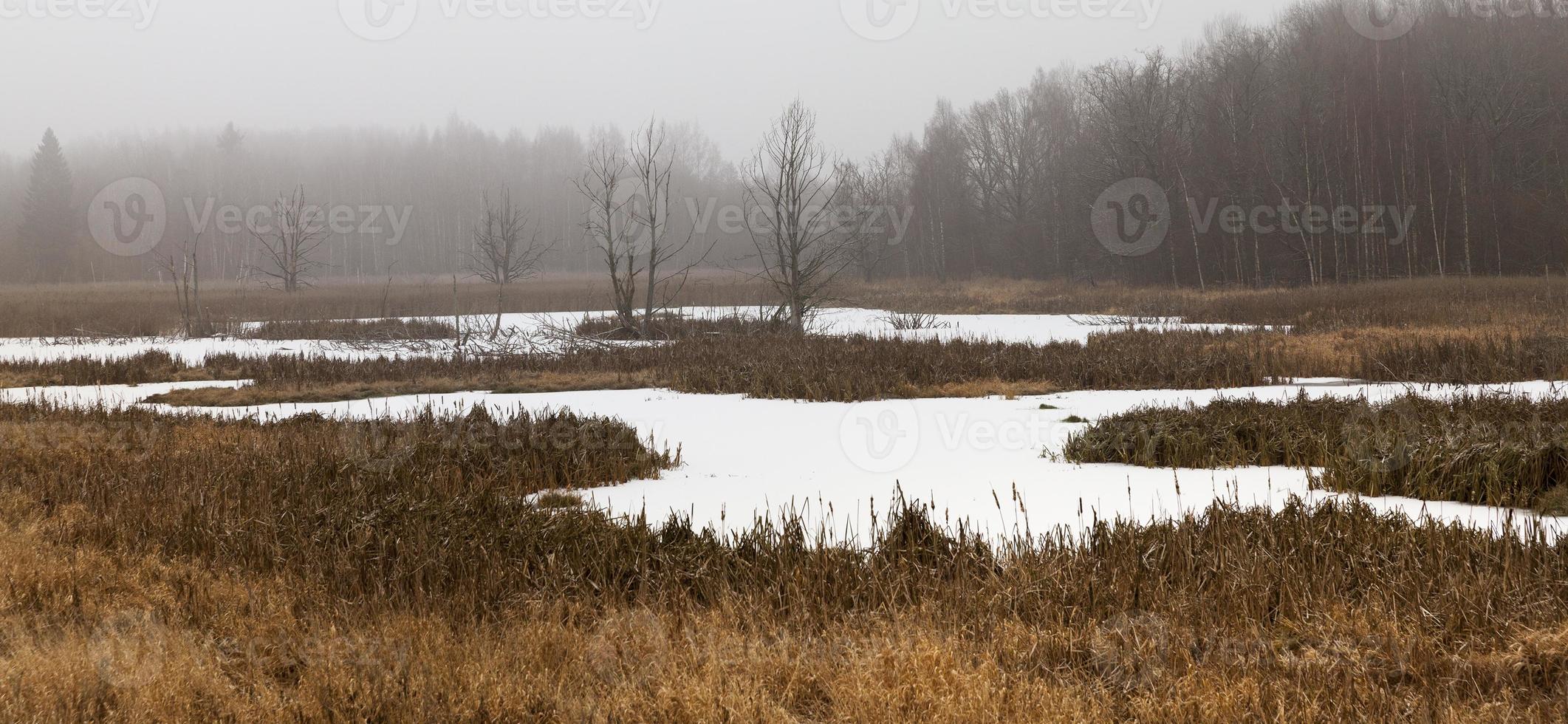 sneeuw deel van het moeras foto