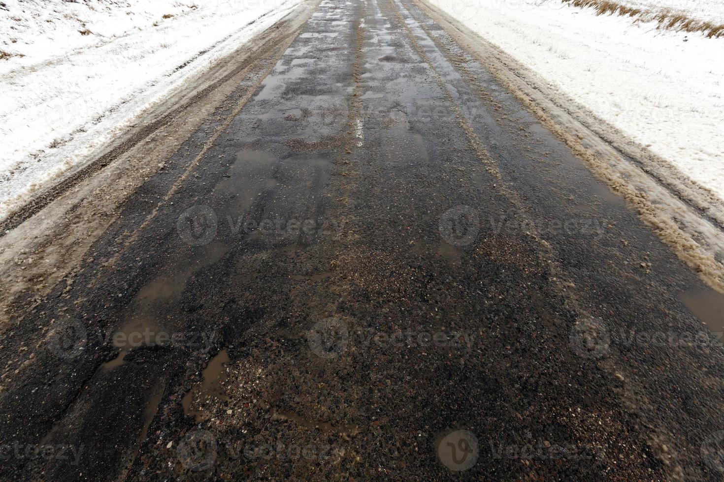 sneeuw bedekt bos foto