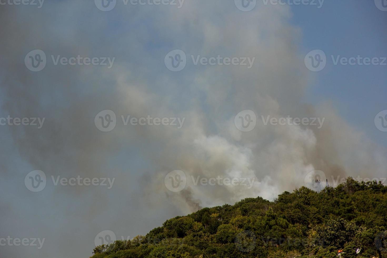 bosbrandrook op de hellingenheuvels. brand in bergbos. bosbrand in bossen foto