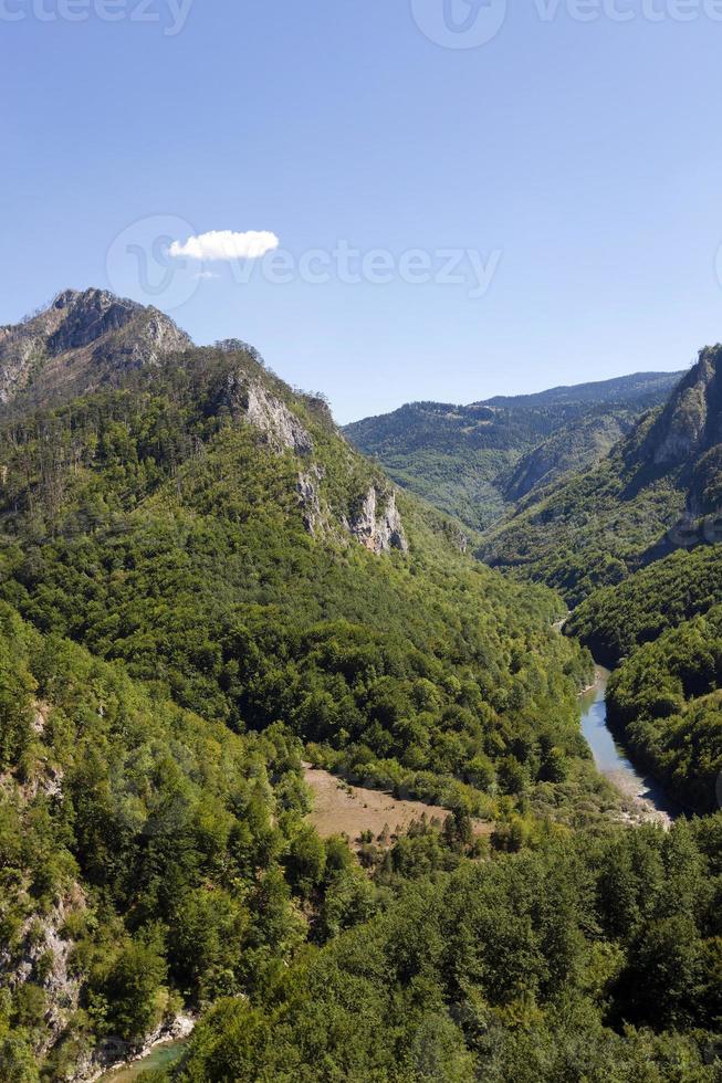 de bergen . Montenegro foto