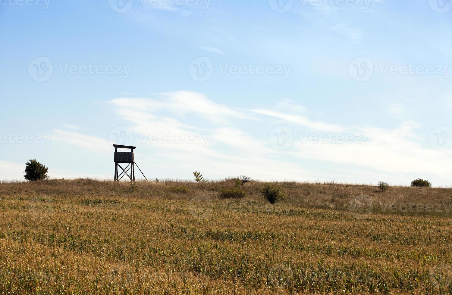 houten toren, veld foto