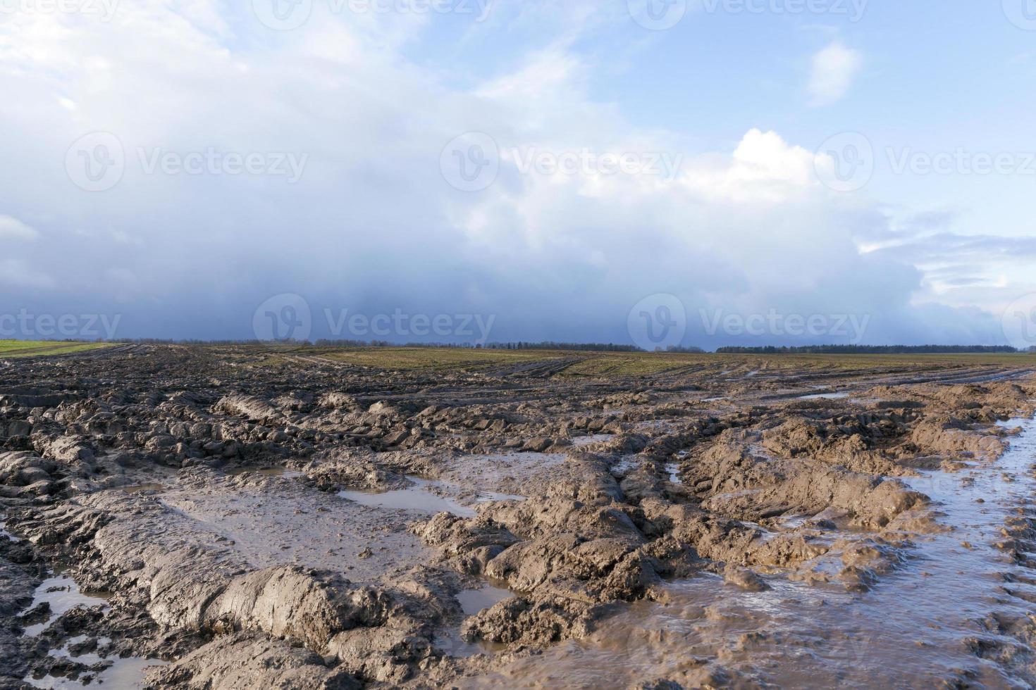 weg in een veld foto