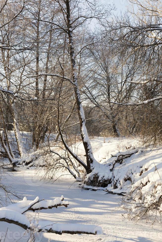 een kleine rivier waarvan het water in de winter bevroren is foto