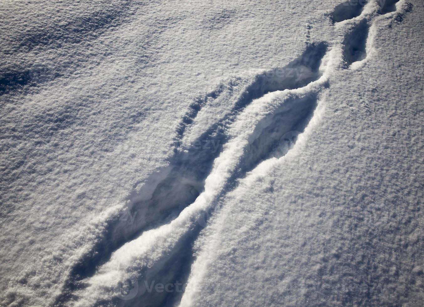 voetafdrukken op sneeuwbanken na het lopen foto