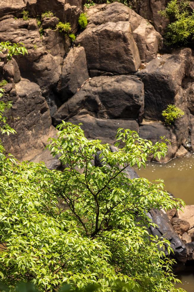 een natuurlijke waterval in een groot bos midden in de prachtige natuur. foto