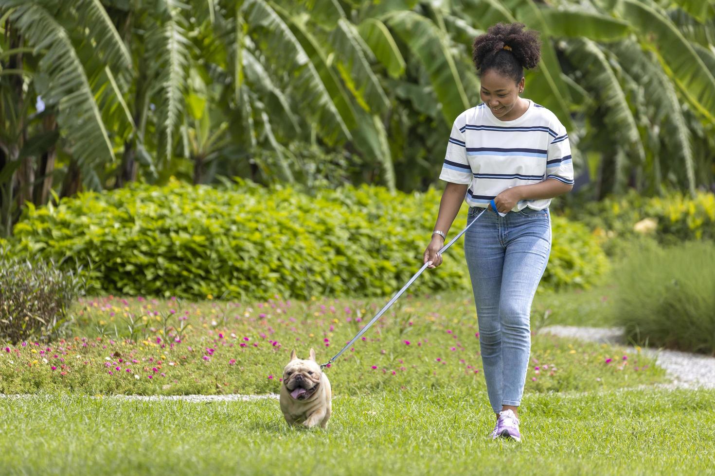 Afro-Amerikaanse vrouw loopt met haar Franse bulldog-puppy in het hondenpark op grasgazon na ochtendoefening in de zomer foto