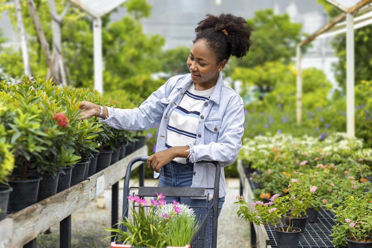 jonge afrikaanse klant kiest exotische plant uit de plaatselijke tuincentrumkwekerij met winkelwagen vol zomerplanten voor weekendtuinieren en buitenactiviteiten foto