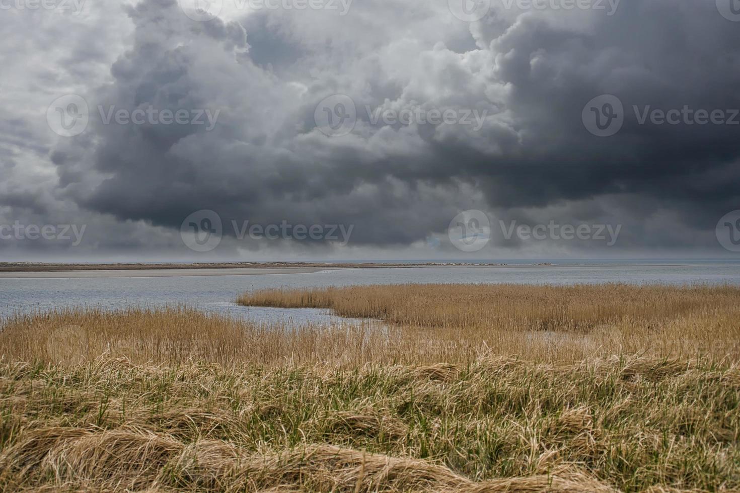 vogel uitkijk pramort op de darss. weids landschap met dramatische wolken foto