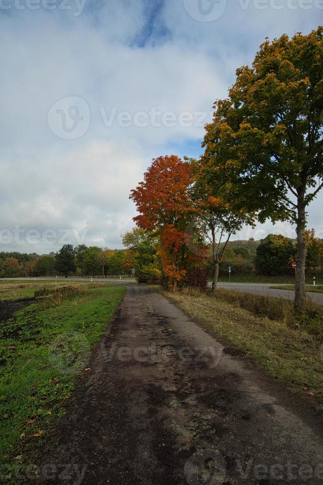 in het Saarland bossen, weiden en solitaire bomen in herfstlook. foto