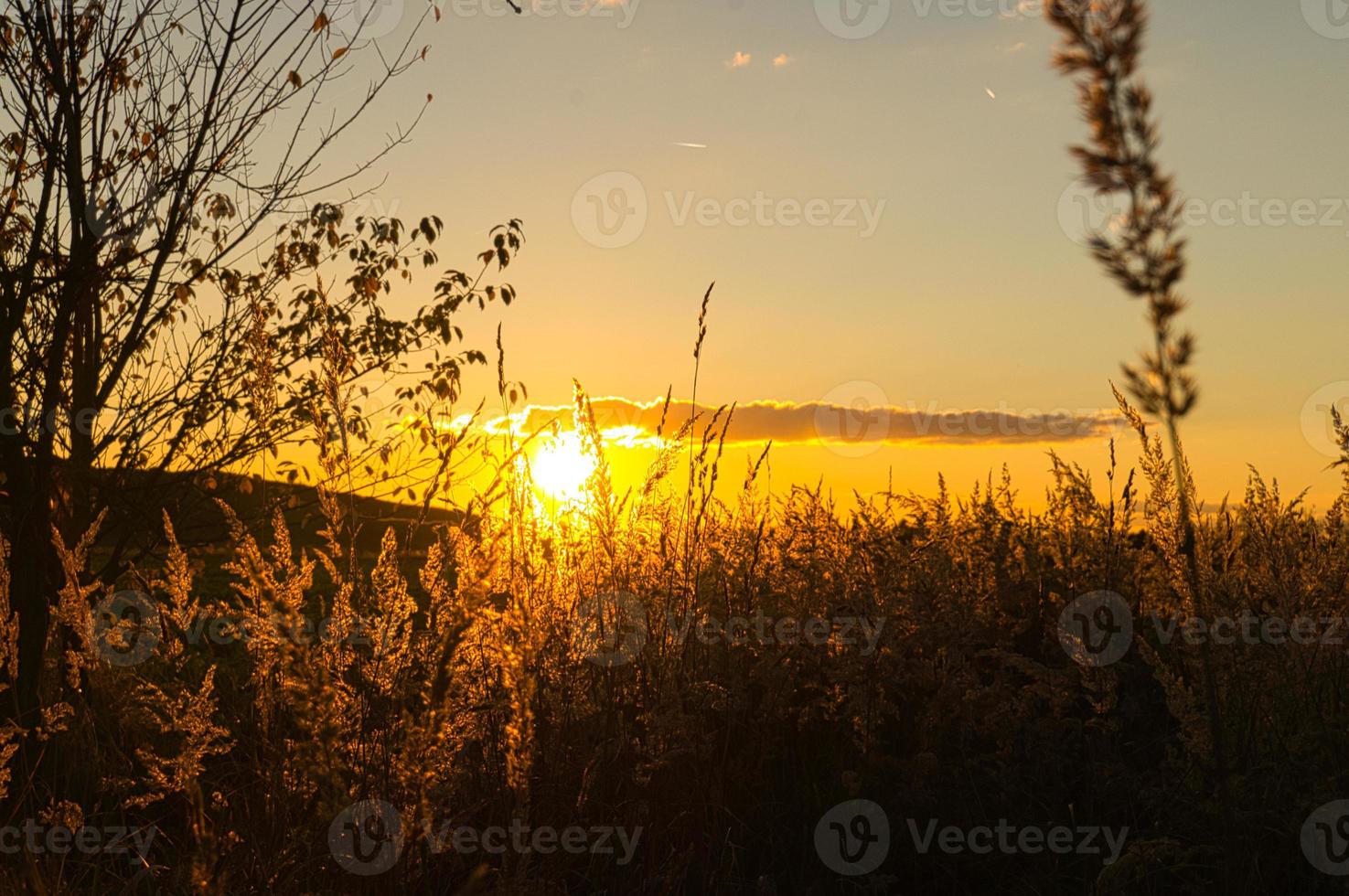 ondergaande zon aan de rand van berlijn. de lucht lijkt te branden foto