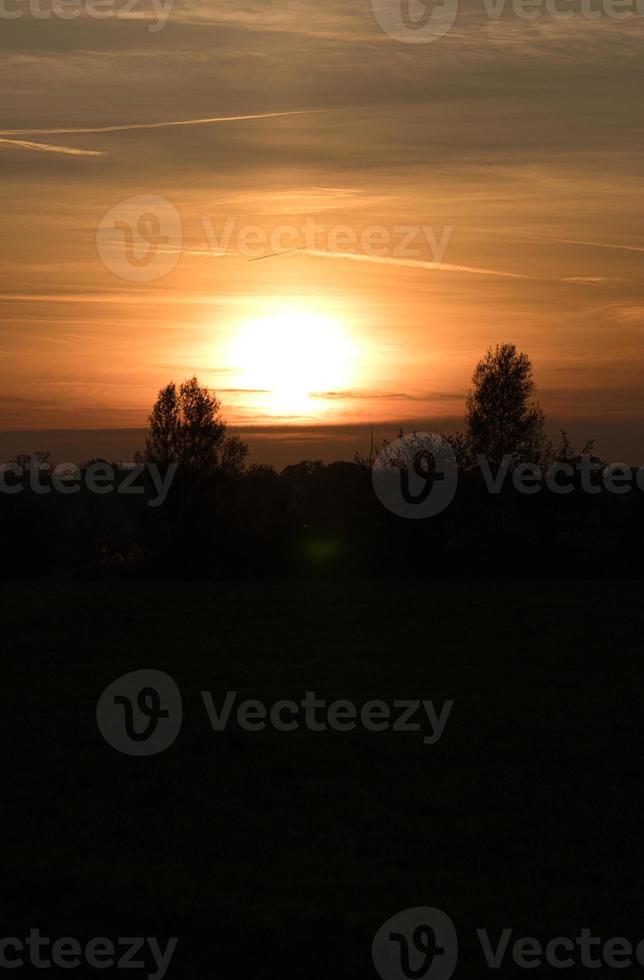 zonsondergang met brandende lucht achter de bomen. foto