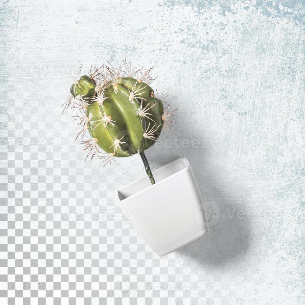 top-up view cactus plant kantoor op witte pot geïsoleerd foto