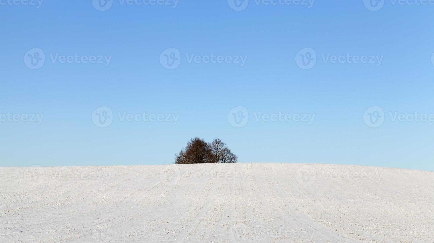 sneeuw drijft in de winter foto