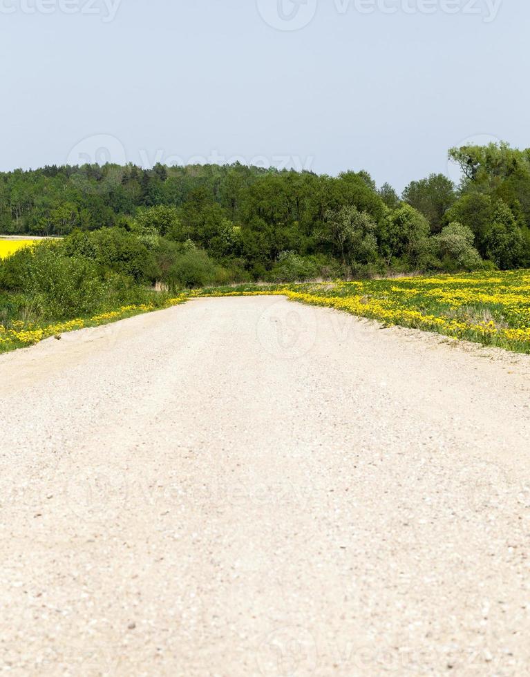 zandweg, zomer foto