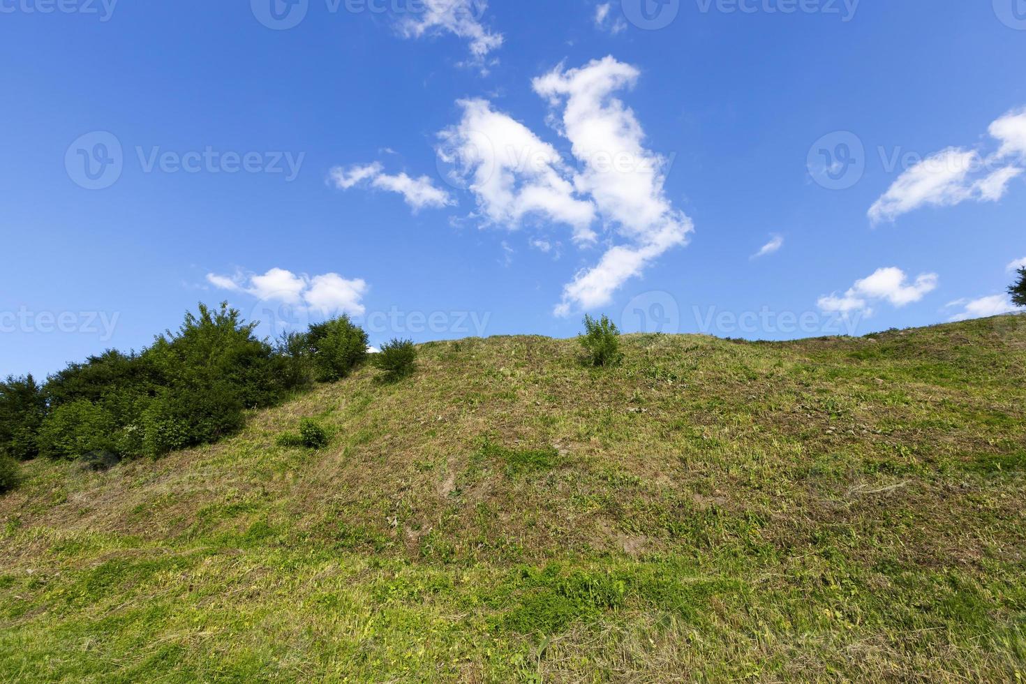 lente planten en lucht foto