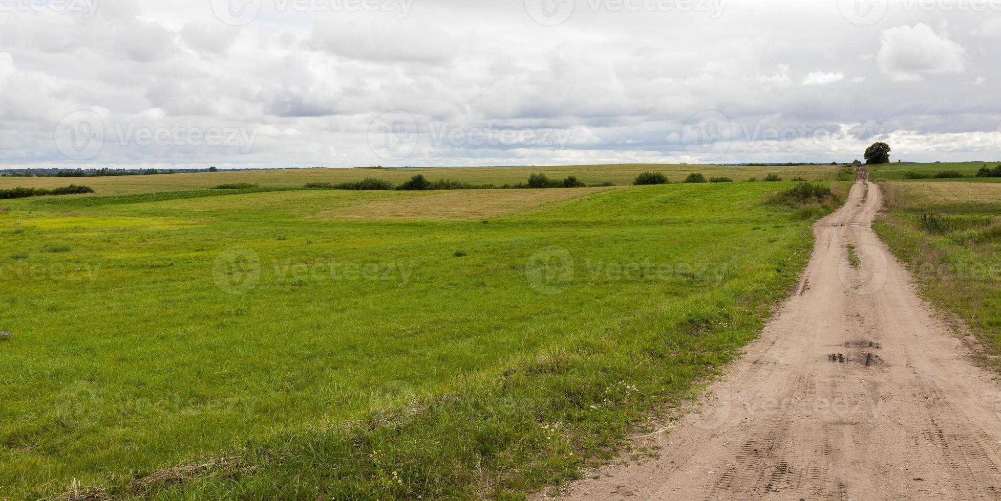 landbouwgebied, weg foto