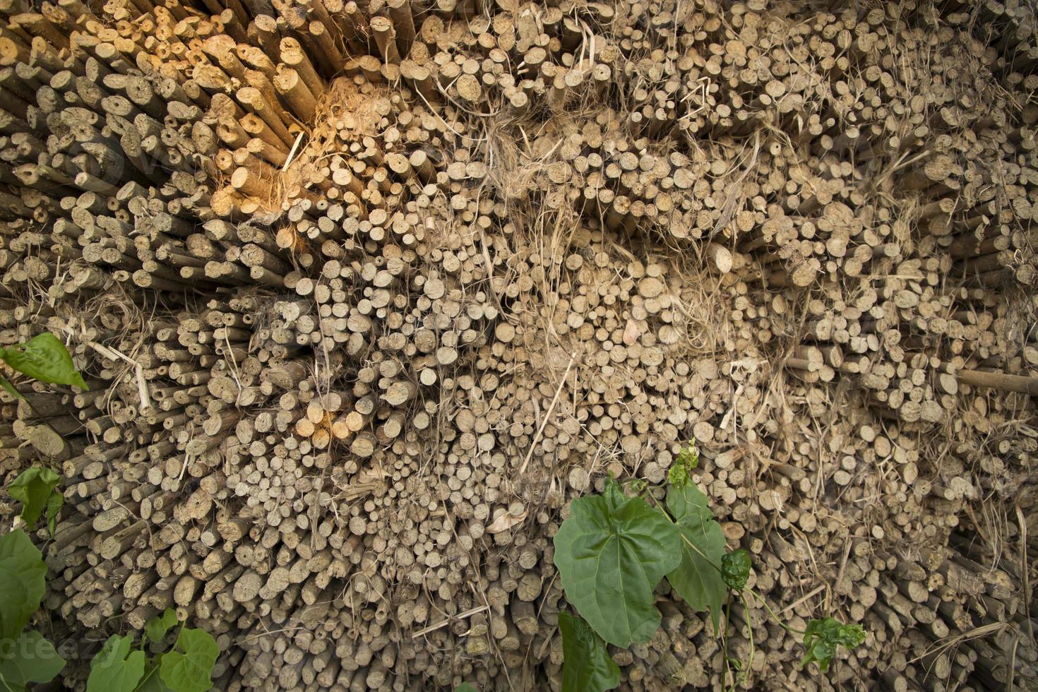 rijen en rijen bruine jute stokken textuur achtergrond van een veld foto