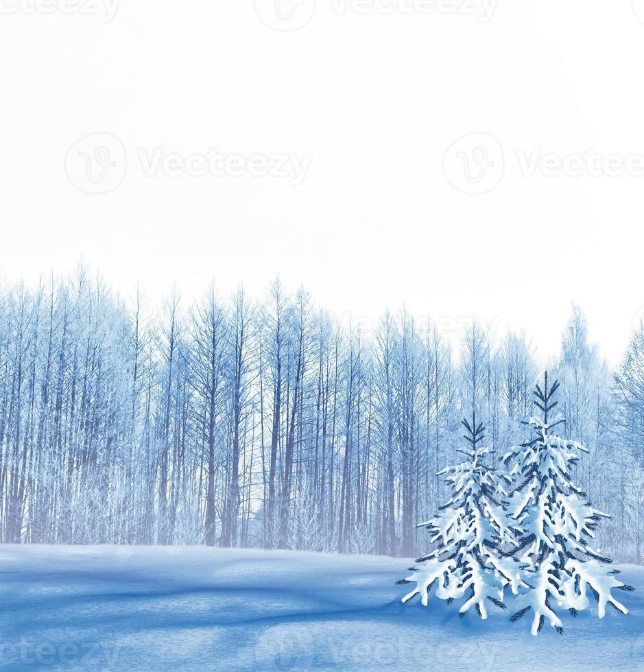 bevroren winterbos met besneeuwde bomen. foto