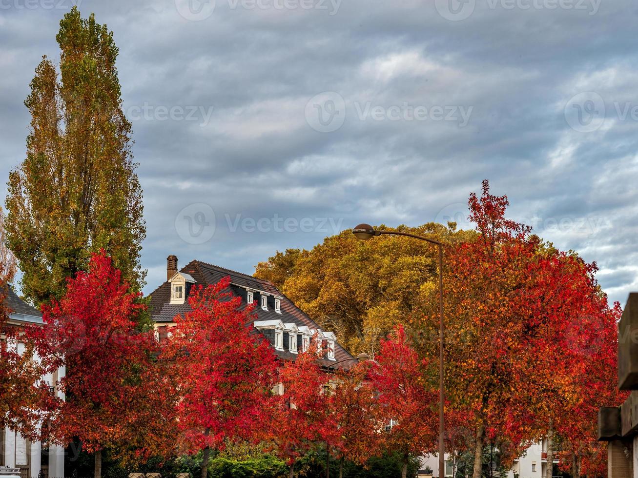 herfstkleuren in de stad Straatsburg. geel, rood, oranje foto