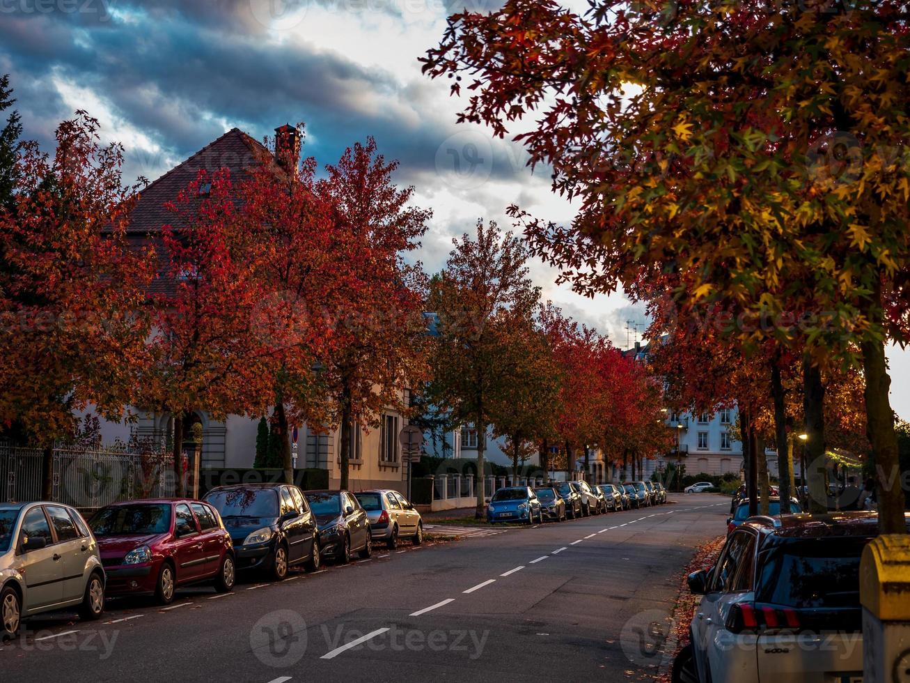 herfstkleuren in de stad Straatsburg. geel, rood, oranje foto
