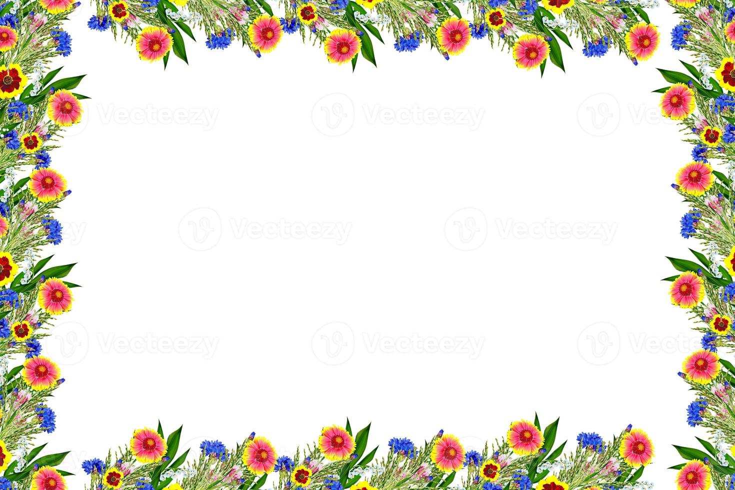 boeket van kleurrijke bloemen van gaillardia. delicate bloemen geïsoleerd op een witte achtergrond foto
