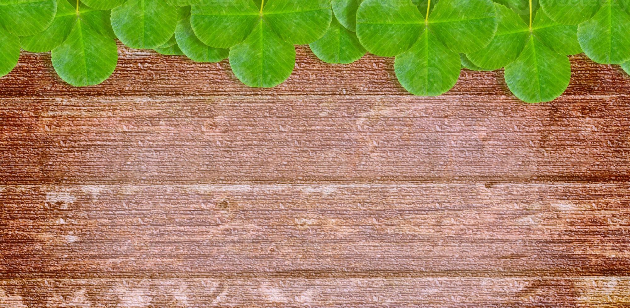 groene klaverbladeren op een achtergrond zomerlandschap foto