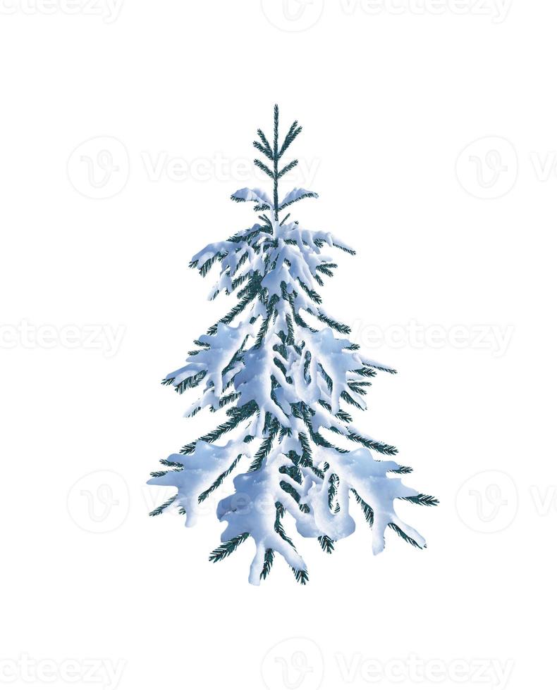 kerstboom in sneeuw geïsoleerd op een witte achtergrond. foto