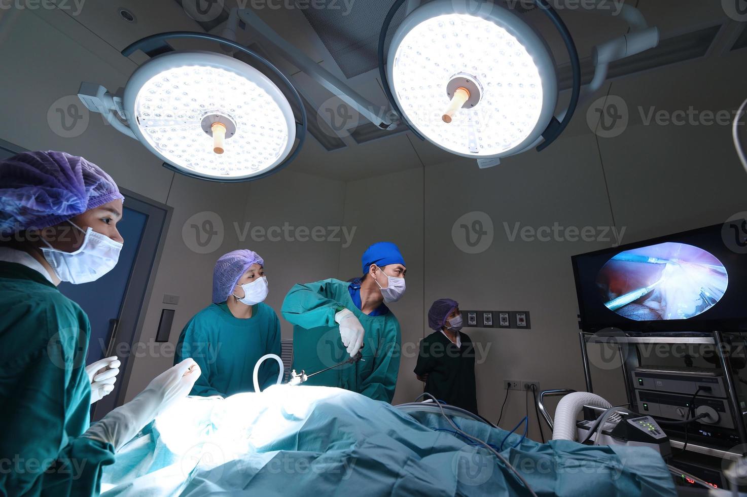 groep van dierenarts arts in operatiekamer voor laparoscopische chirurgische foto
