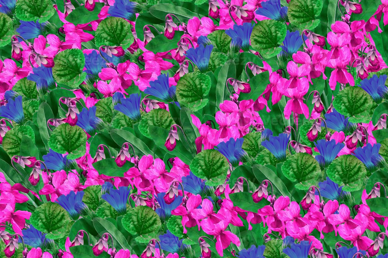 bloemenachtergrond van heldere bloemen foto