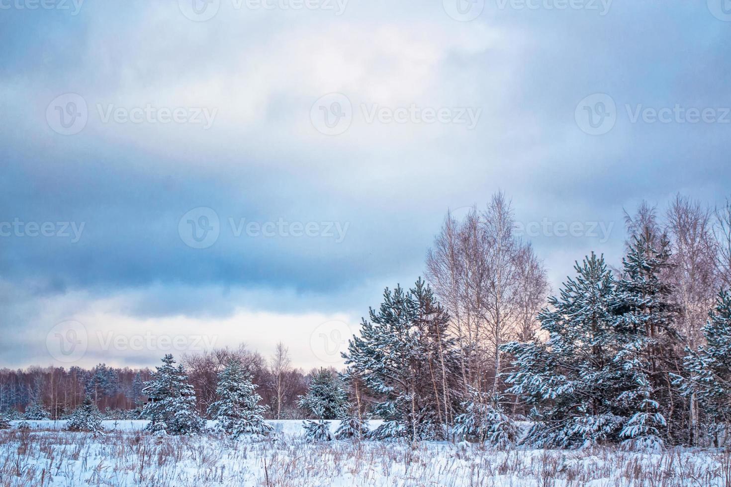 bevroren winterbos met besneeuwde bomen. foto