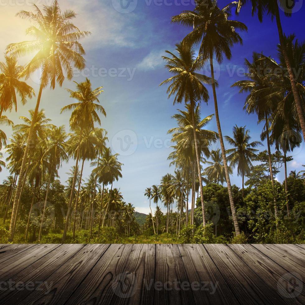 houten platform naast jungle met kokospalmen foto