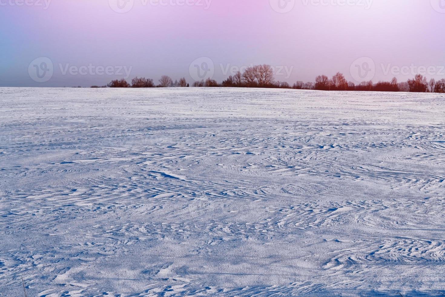 bos in de vorst. winters landschap. besneeuwde bomen. foto