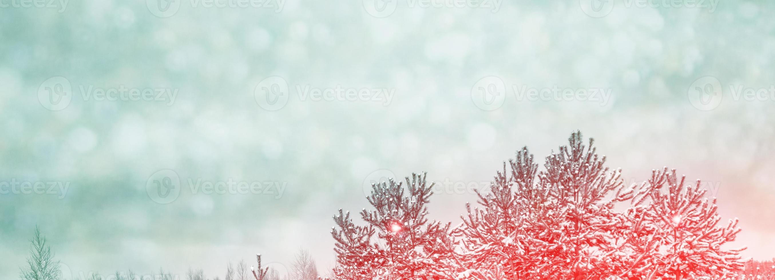 bevroren winterbos met besneeuwde bomen. foto