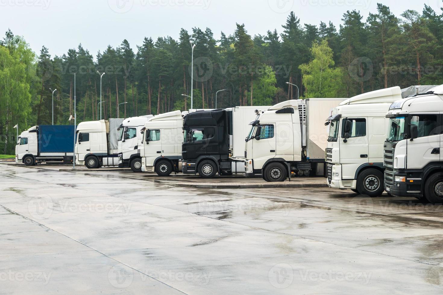 vrachtwagens op een rij met containers op de parkeerplaats in de buurt van bos-, logistiek- en transportconcept foto