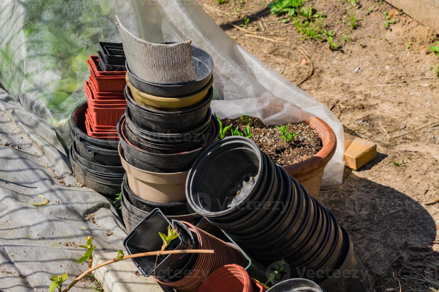 lege plastic potten en verschillende gereedschappen om op de grond te zaaien foto