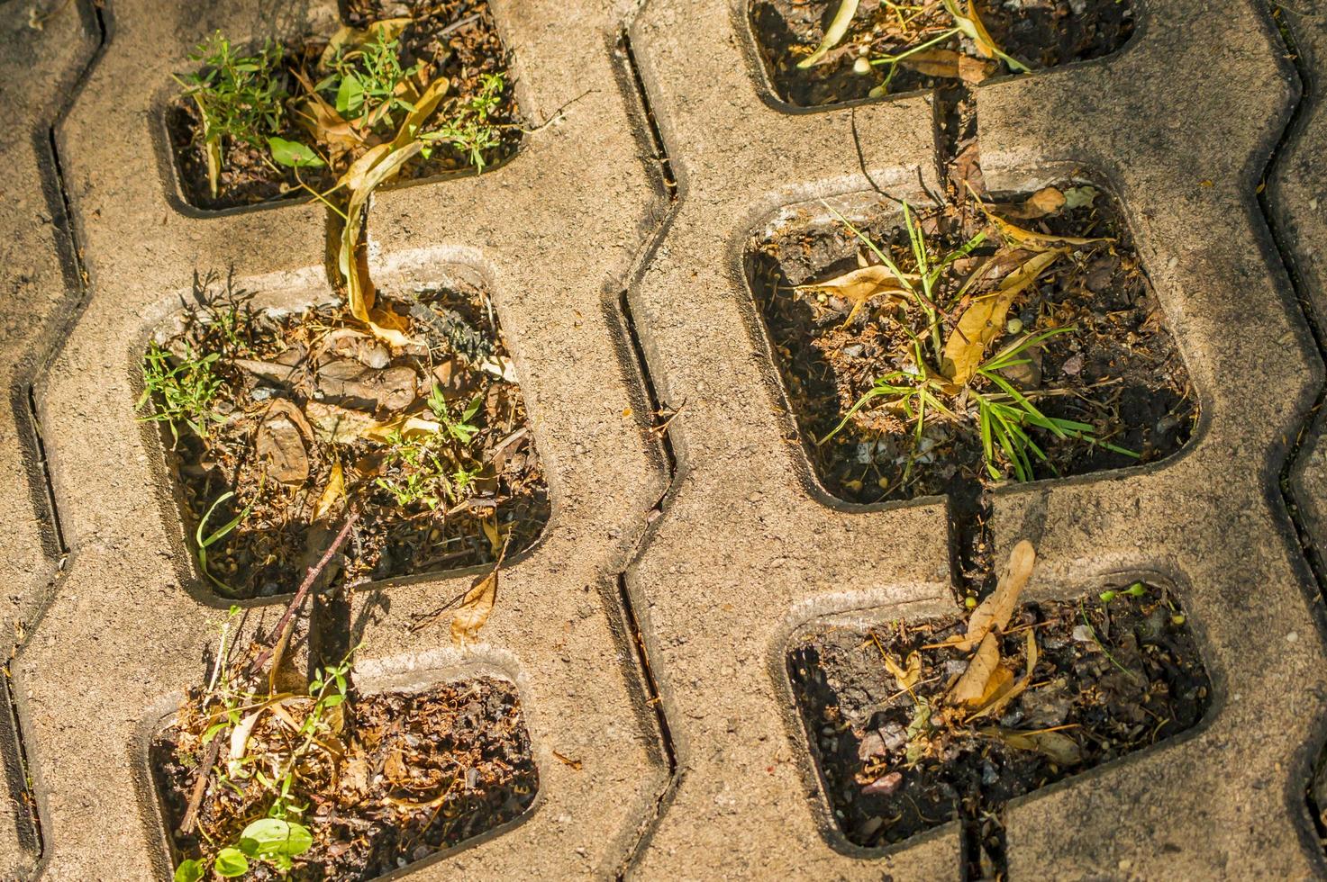 close-up van bestrating met gevallen herfstbladeren. bestrating steen achtergrond foto