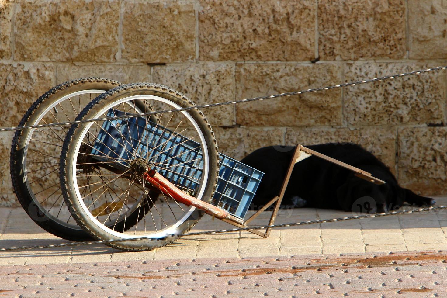 fiets - tweewielig voertuig foto