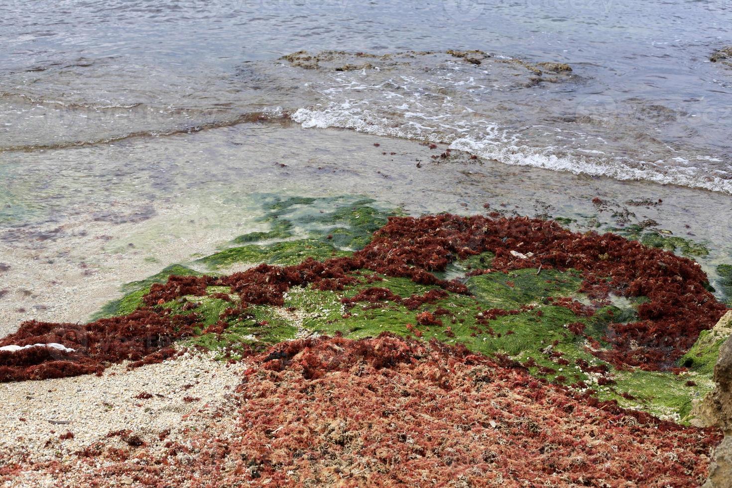 kust van de Middellandse Zee in Noord-Israël. foto