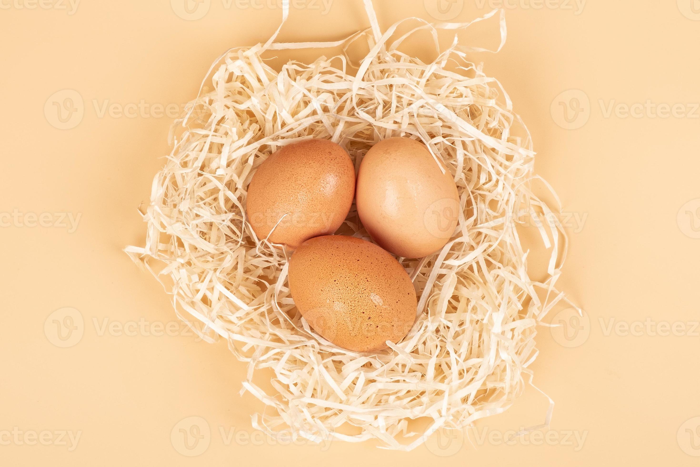 Hijsen Geschatte Uitmaken kippeneieren in het nest geïsoleerde banner bovenaanzicht 10139375 Stockfoto