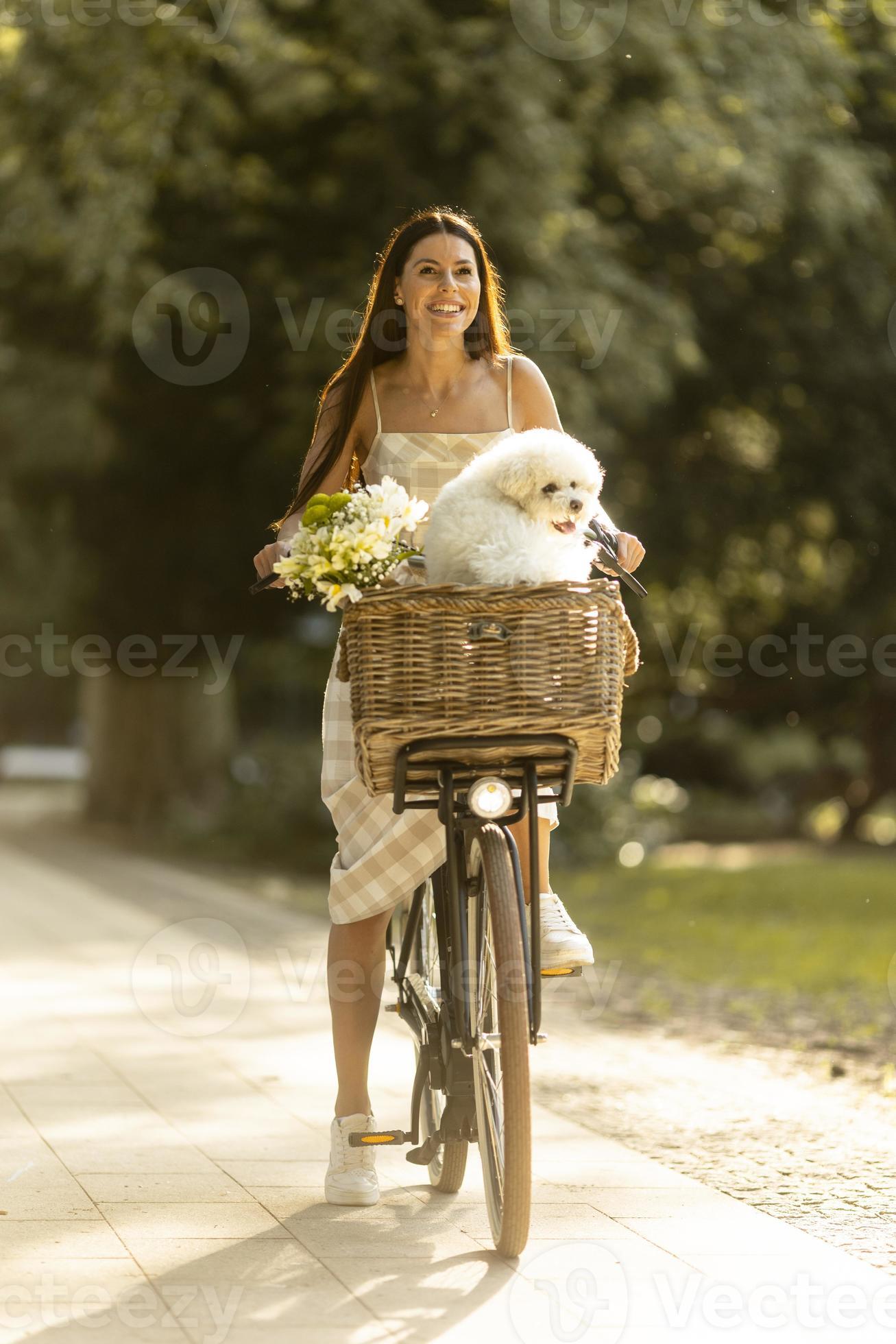 jonge vrouw met witte bichon frise hond in de mand van elektrische 10196345 stockfoto bij Vecteezy