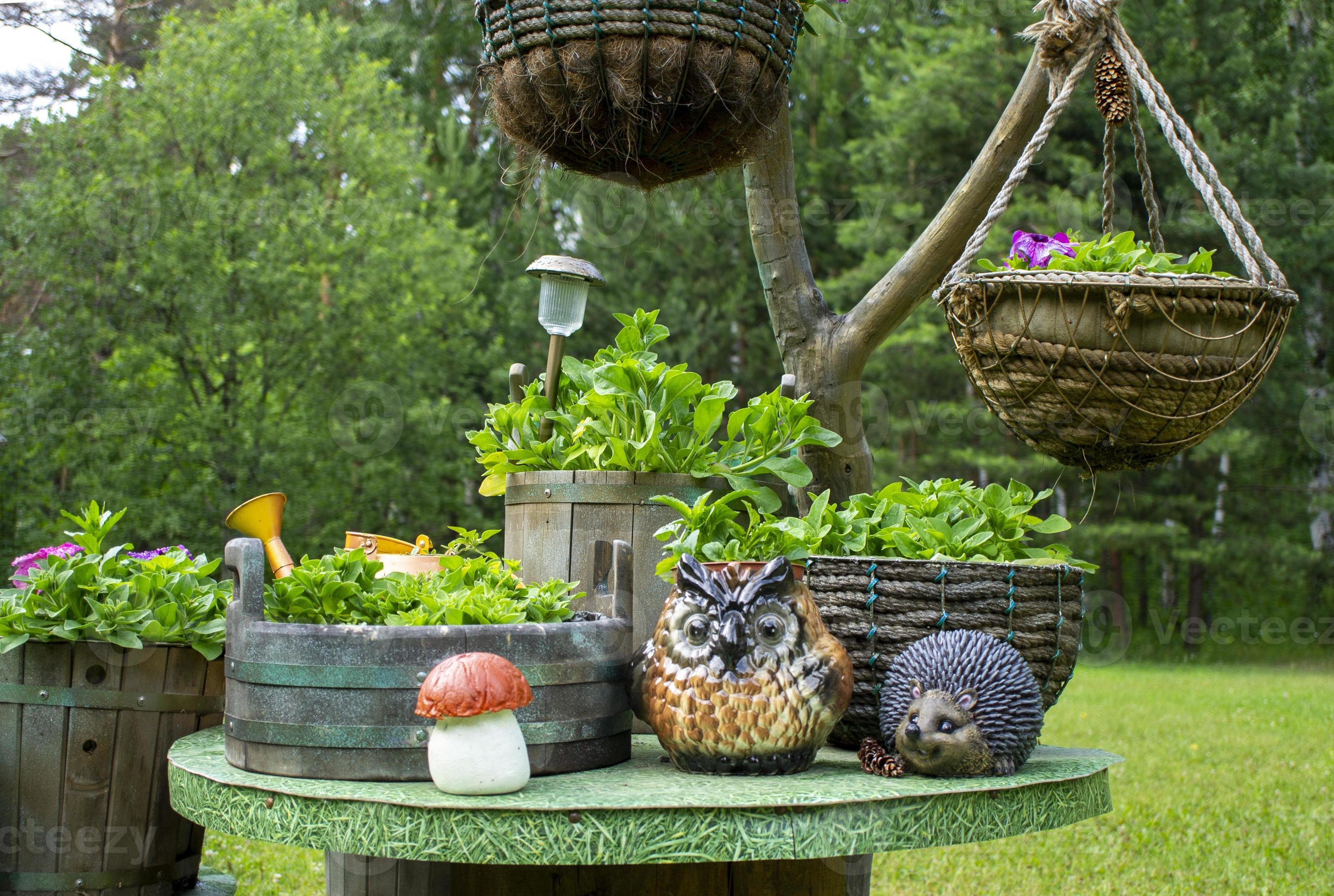 Heel Editie Voorwoord hand- gemaakt hangende bloem potten en houten petunia potten in de zomer  tuin. decoratief figuren van een uil, egel en paddestoel Aan de tafel. eco  ontwerp 13185570 Stockfoto