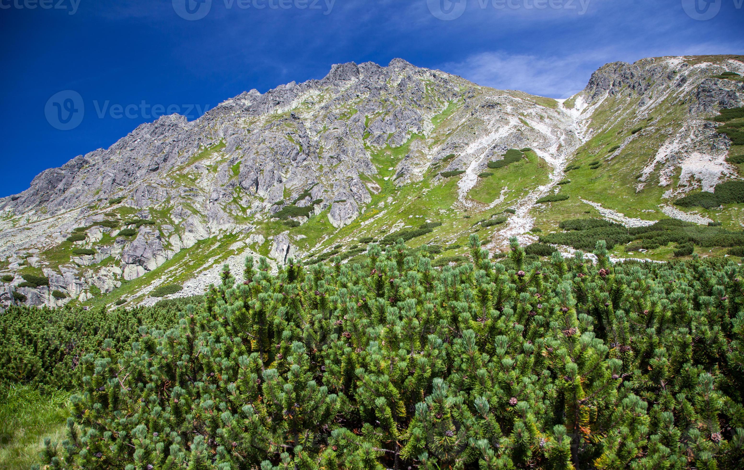 heuvel - predne solisko - in hoge tatra, slowakije foto