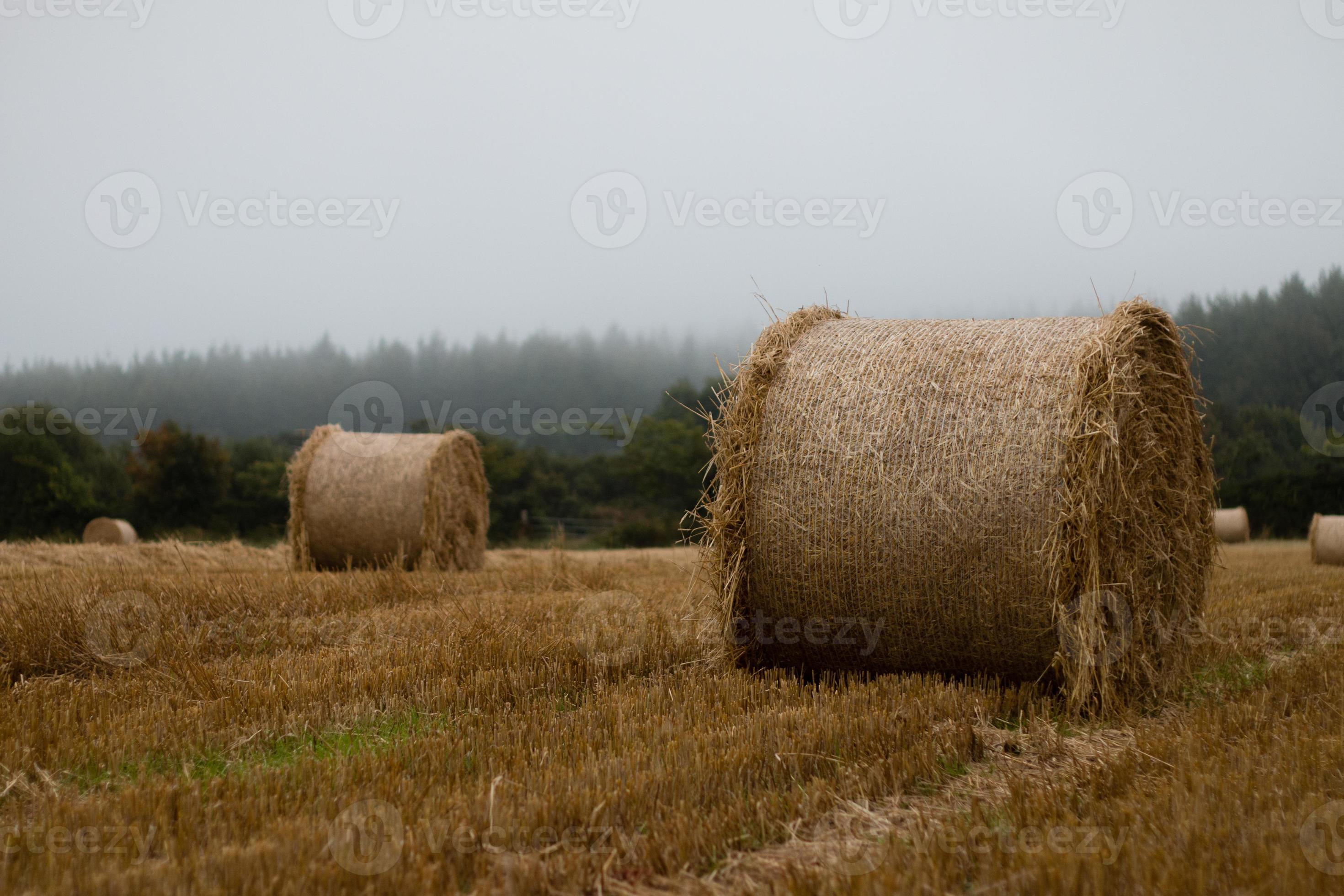 Arne Verder stroom ronde strobaal in stoppelveld 1355354 Stockfoto