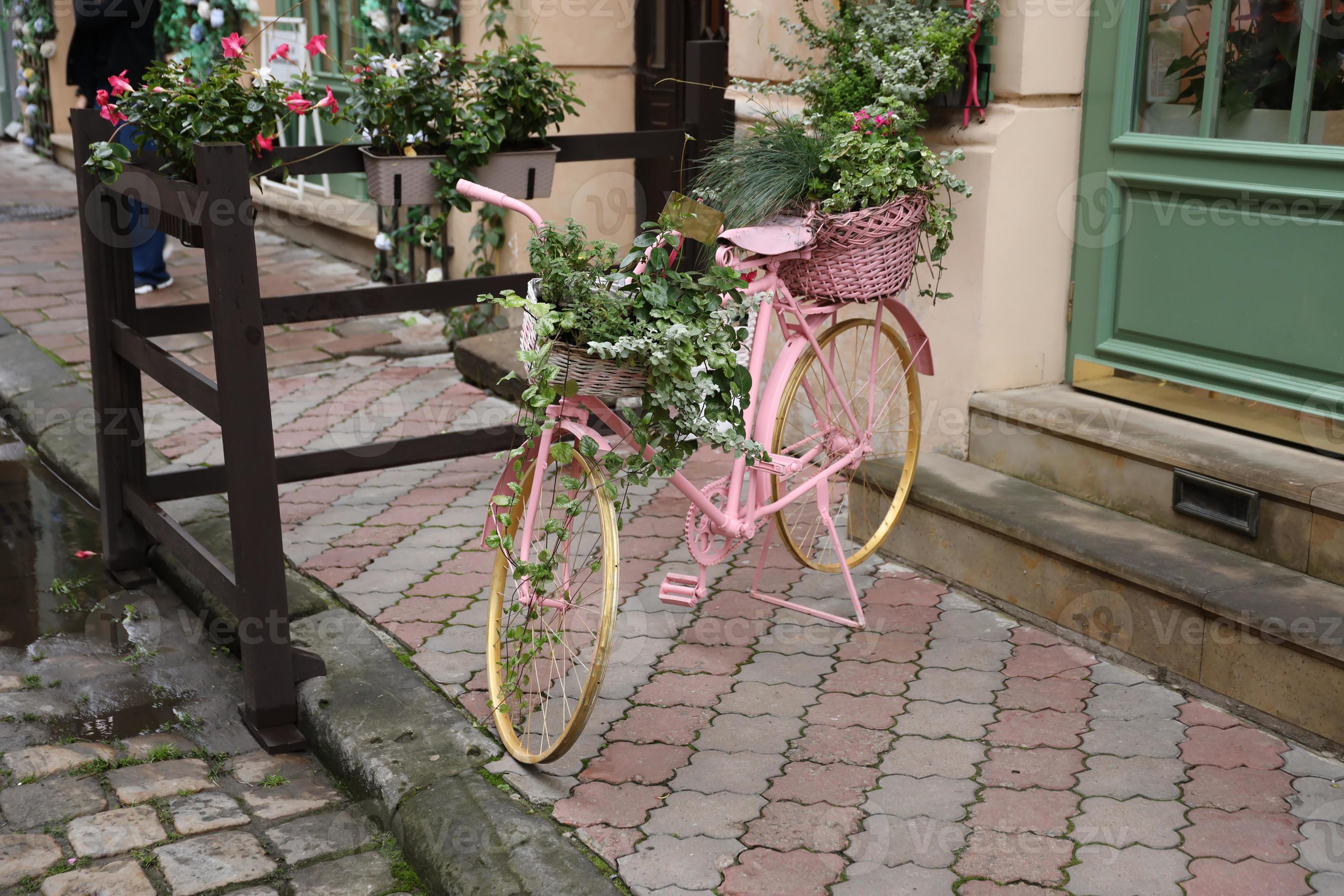 Identiteit plaag vergiftigen oud roze fiets uitgerust met mand van bloemen decoratie 16787245 Stockfoto