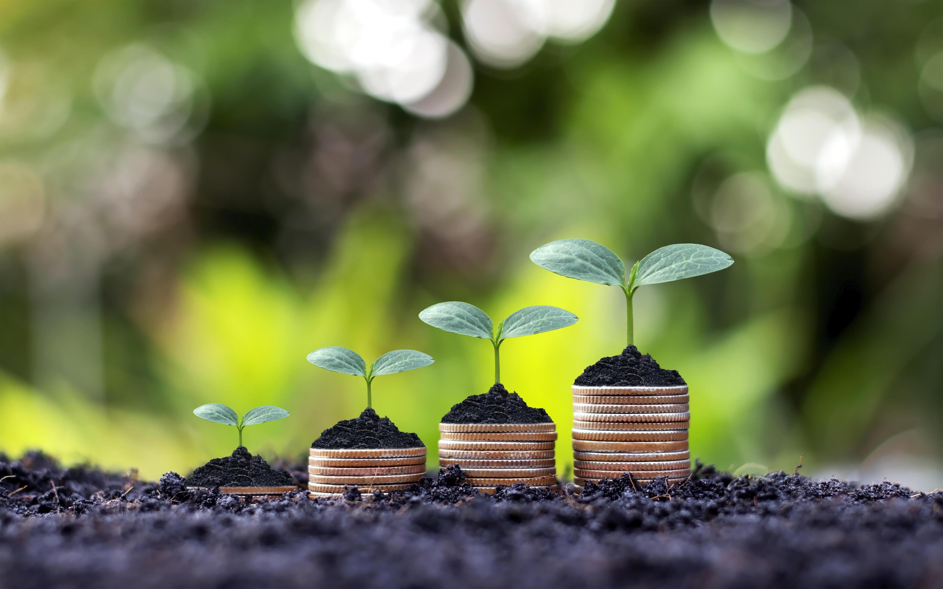 apotheker onhandig Achternaam planten groeien uit geld 1905695 Stockfoto