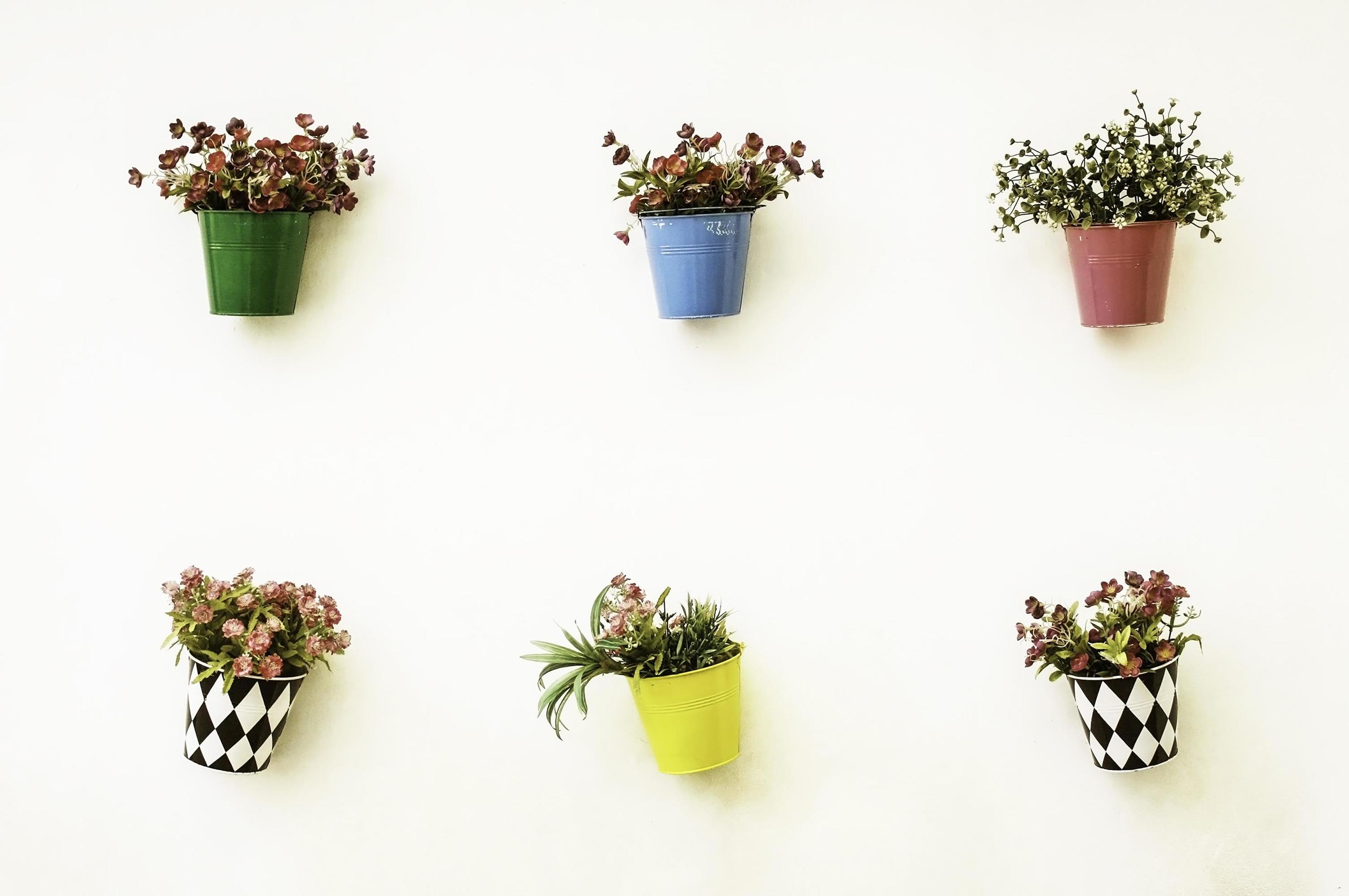 provincie De andere dag bestrating kleurrijke bloempotten op de muur 1987412 stockfoto bij Vecteezy