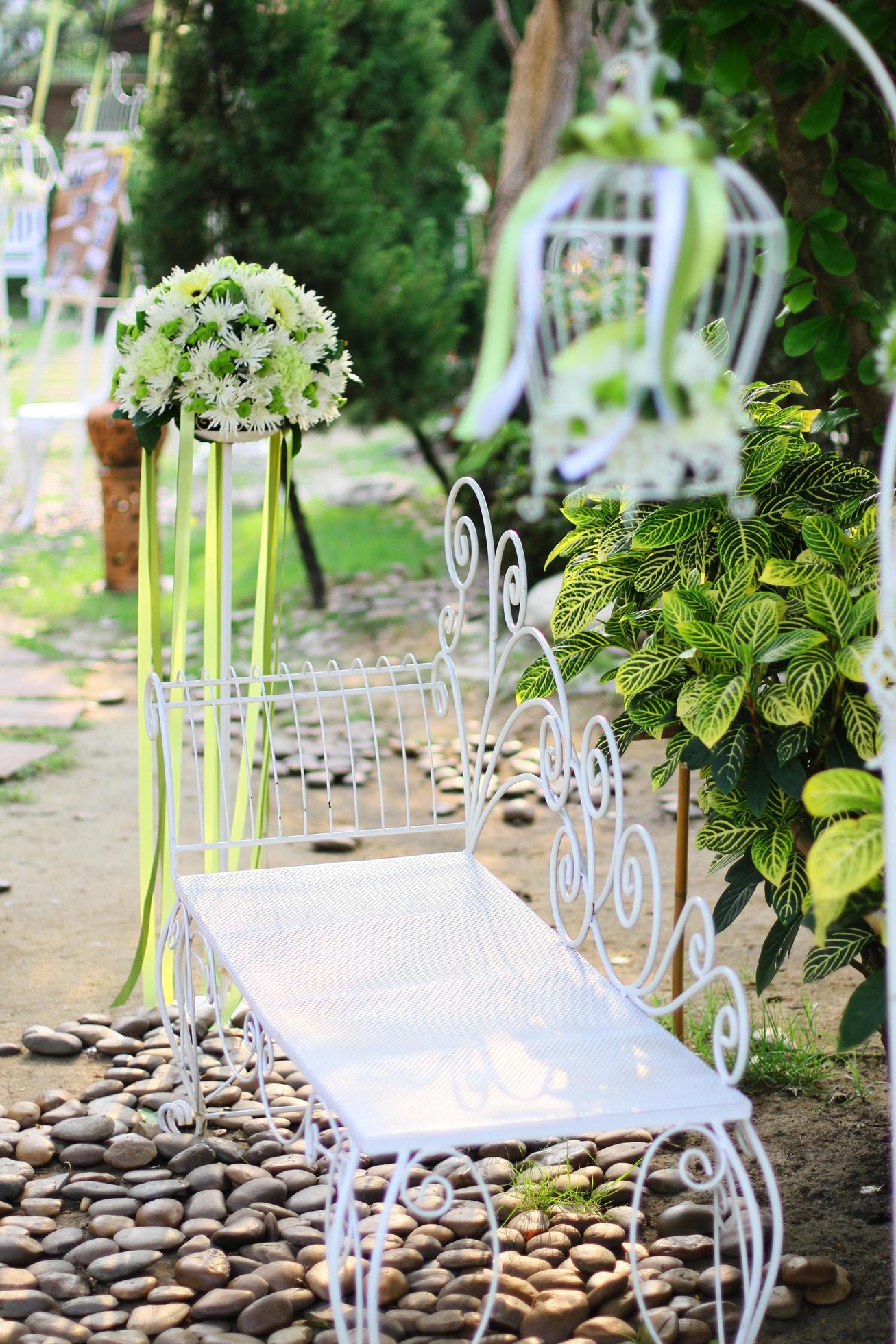 beginsel Zwitsers tweeling wit vogelkooi, stoel decoratie met rozen en wit bloemen hangende decoratie  in tuin voor bruiloft ceremonie 22580921 stockfoto bij Vecteezy